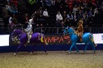 Quadrille - 00416